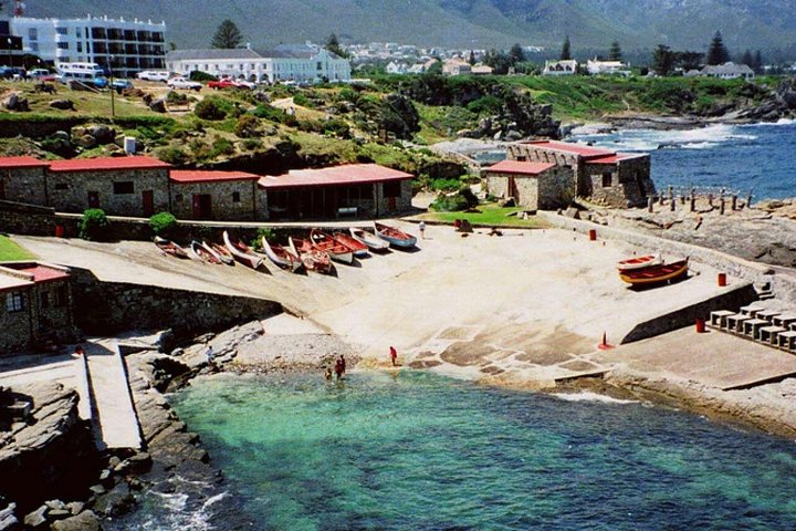 Hermanus Whale Coast Wine Tour - Image 4