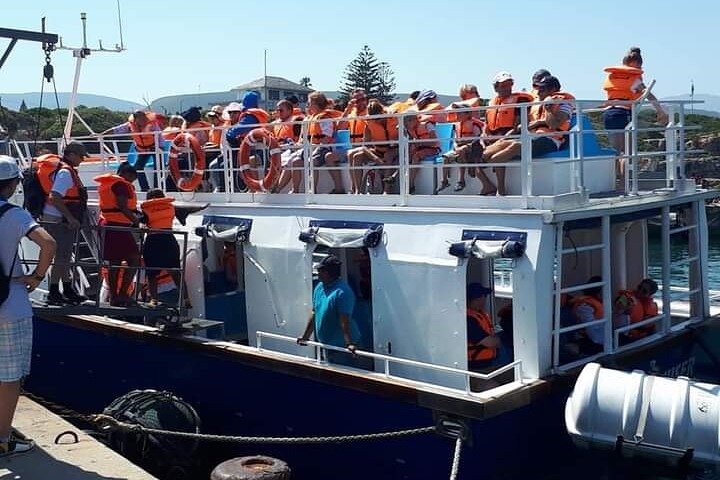 Hermanus Whale Watching Shared Tour from Cape Town  - Image 5