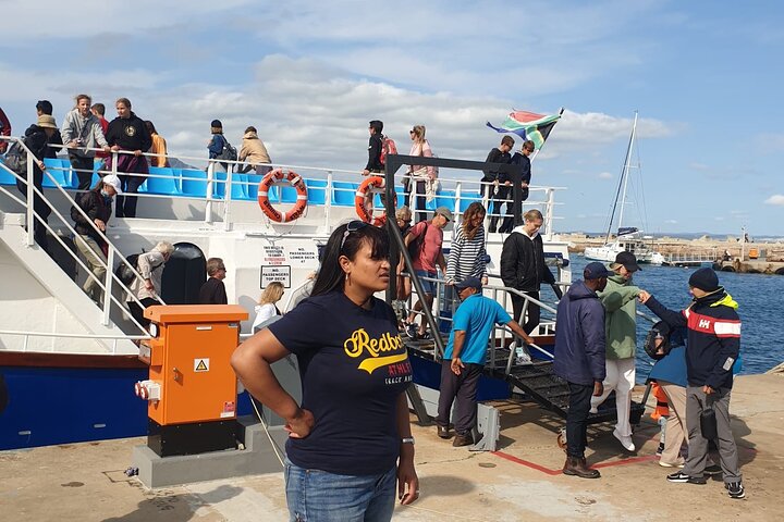Hermanus Whale Watching Shared Tour from Cape Town  - Image 3
