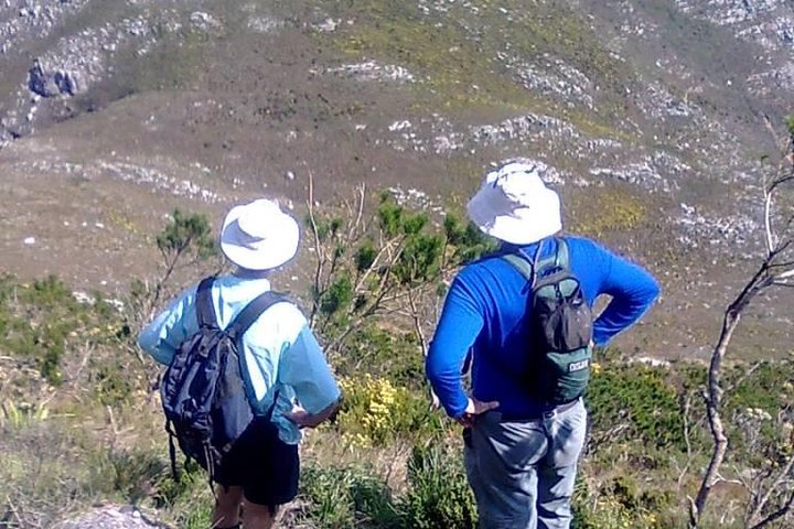 Hiking and Trekking on Table Mountain - Image 2