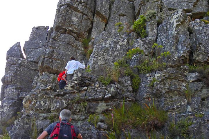 Hiking and Trekking on Table Mountain - Image 4