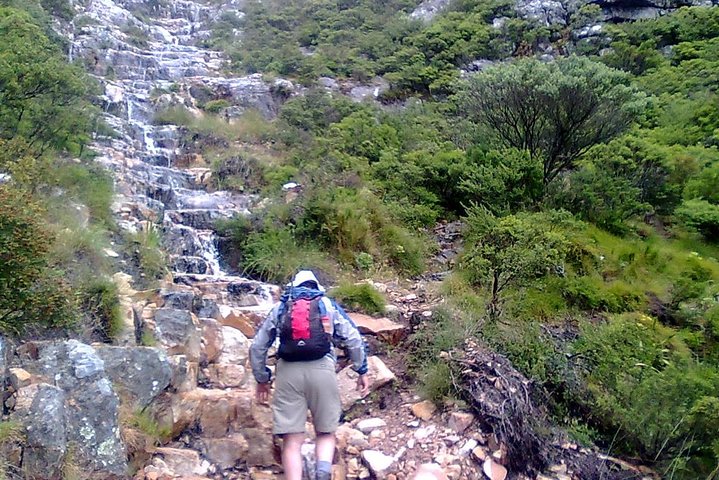 Hiking and Trekking on Table Mountain - Image 1