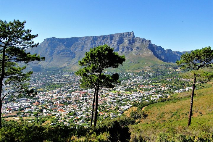 Historical city & Table Mountain - Image 4