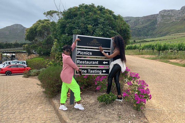 Kirstenbosch Botanical Gardens and Cape Winelands Tour. - Image 5