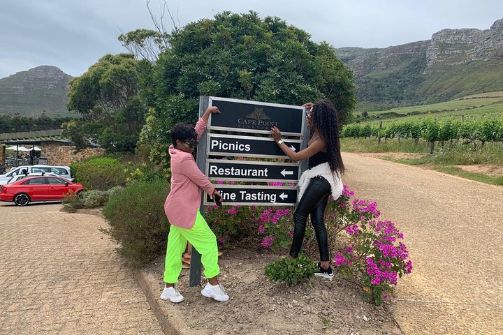Kirstenbosch Botanical Gardens and Cape Winelands Tour. - Image 4