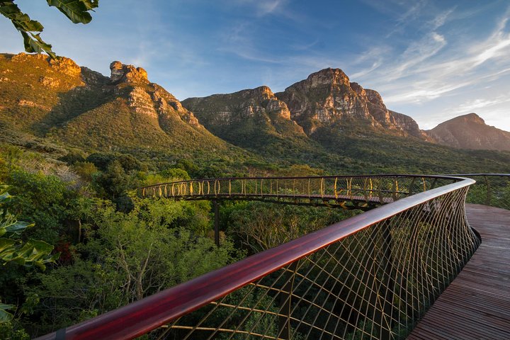 Mini Cape Peninsula+ Wine Tasting - Custom-made Private Day Tour (max 3 per) - Image 5