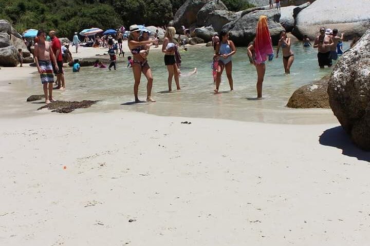 Penguin Watching & Beach Day at Boulder's Beach, Cape Town - Image 5