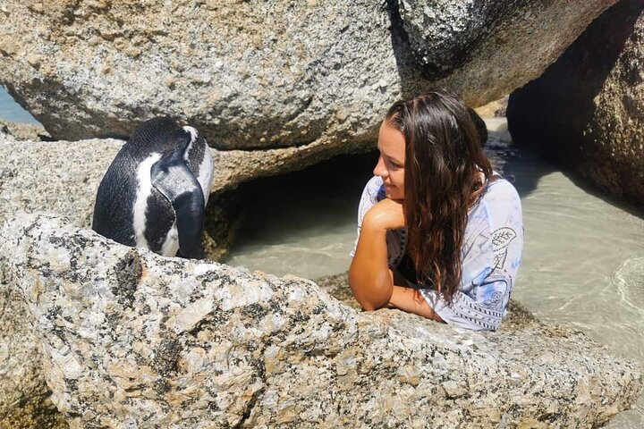 Penguin Watching & Beach Day at Boulder's Beach, Cape Town - Image 2