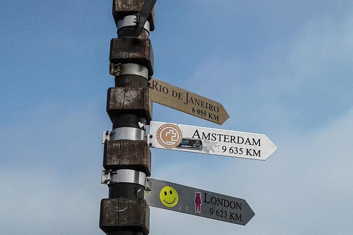Peninsula, Cape Point, Penguins & Wine Tasting - Image 2