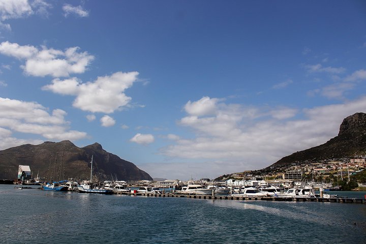 Peninsula Tour Cape Town  - Image 4