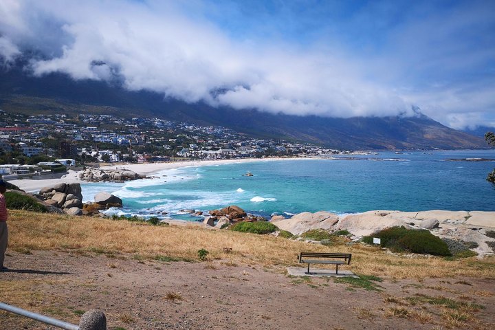 Private Cape Good Hope Cape Point Penguins from Stellenbosch. - Image 2