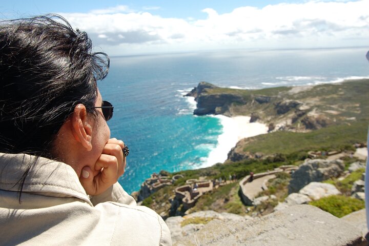 Private Cape of Good Hope and Penguins Tour with Luxury Mercedes or BMW Vehicle - Image 1