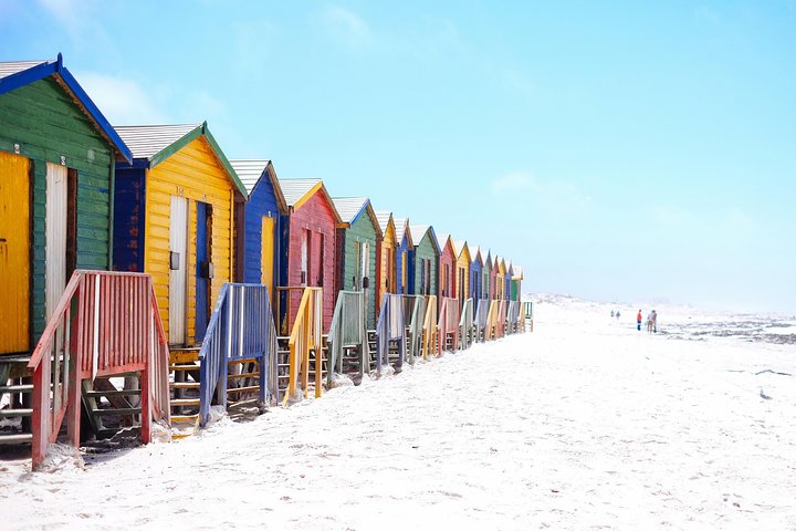 Private Cape Peninsula Day Tour - Image 3