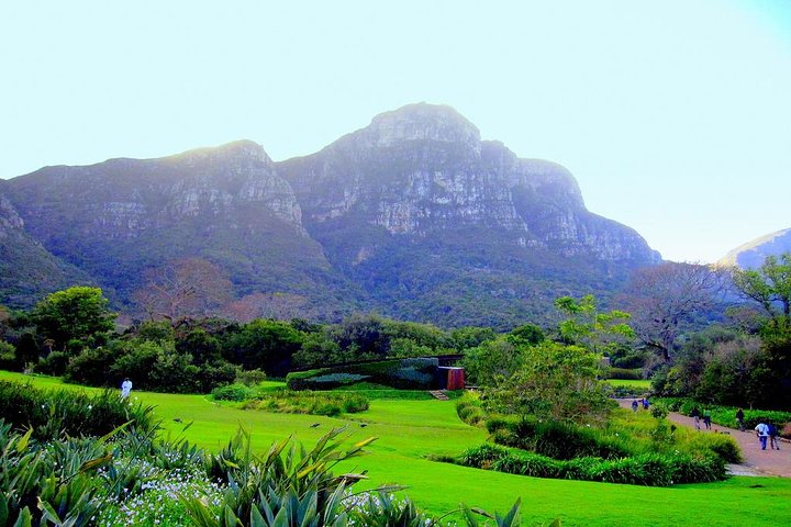 Private Cape Peninsula + Kirstenbosch Garden Full Day Guided Tour - Image 5