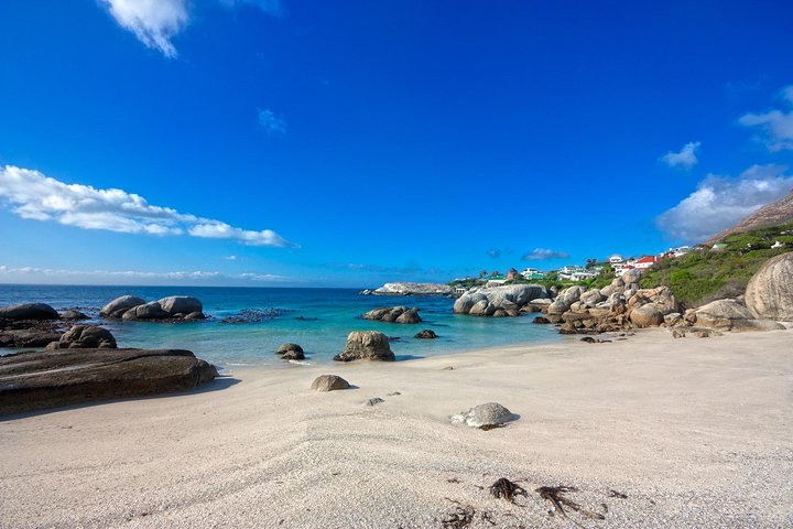 Private Cape Peninsula + Kirstenbosch Garden Full Day Guided Tour - Image 4