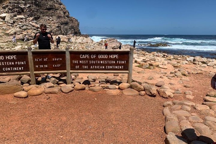Private: Cape Peninsula & Table Mountain Full Day Tour. - Image 3