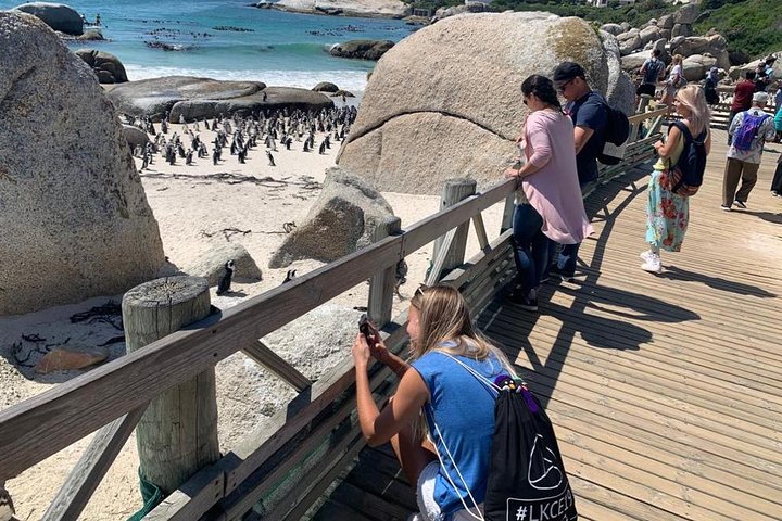 Private: Cape Peninsula & Table Mountain Full Day Tour. - Image 2
