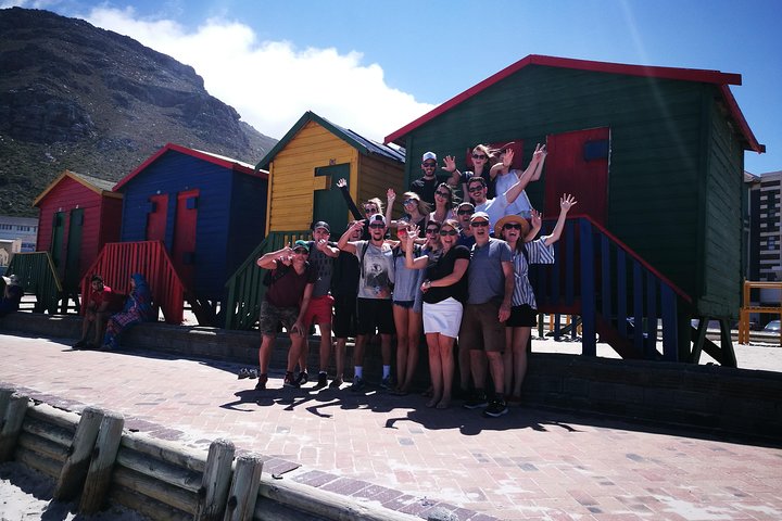Private Cape Peninsula Tour  - Image 5