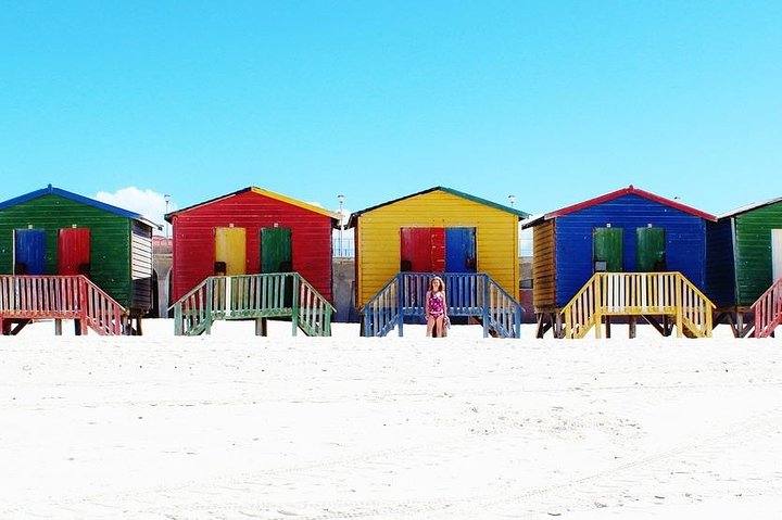 Private Cape Point and Penguins Day Tour with Entrance Fees - Image 5