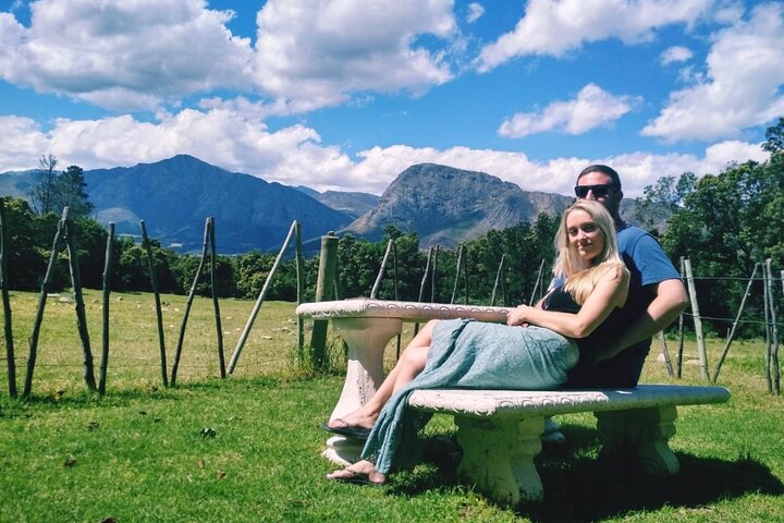 Private: Cape Point and Wine Lands Full day Tour. - Image 3