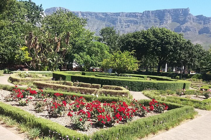 Private Cape Town Table Mountain Bo-Kaap + Cable Car Tickets H/D - Image 3