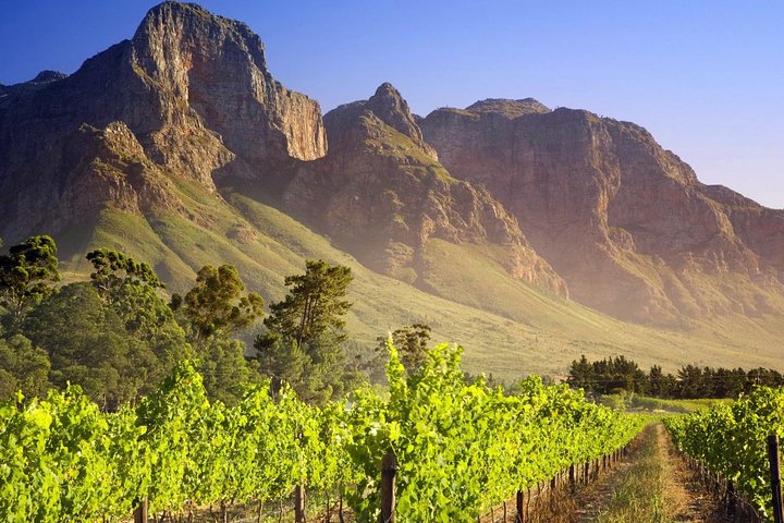 Private Cape Winelands Guided Full Day Tour from Cape Town - Image 1
