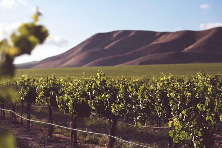 Private Cape Winelands Wine Tasting Tour - Image 3