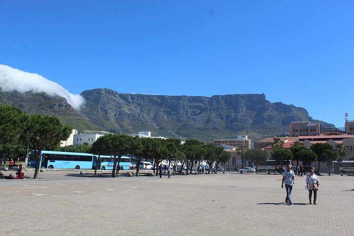 Private City Tour Table Mountain + Cable Car Ticket Camps Bay H/D - Image 5