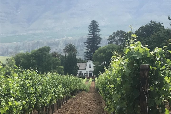 Private Constantia Wine Tour - Image 4