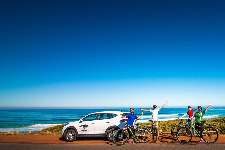 Private Cycling Tour of The Cape Peninsula from Cape Town - Image 4