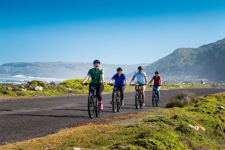 Private Cycling Tour of The Cape Peninsula from Cape Town - Image 1