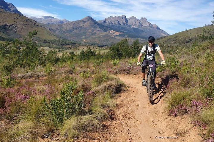 Private Cycling Tour: Winelands mountain biking tour from Cape Town - Image 1