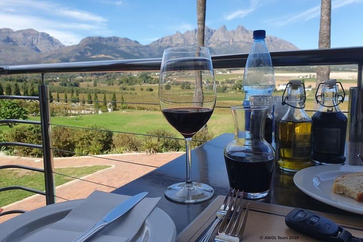 Private Cycling Tour: Winelands mountain biking tour from Cape Town - Image 2