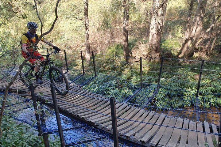 Private Cycling Tour: Winelands mountain biking tour from Cape Town - Image 3
