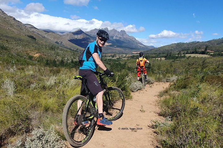 Private Cycling Tour: Winelands mountain biking tour from Cape Town - Image 4