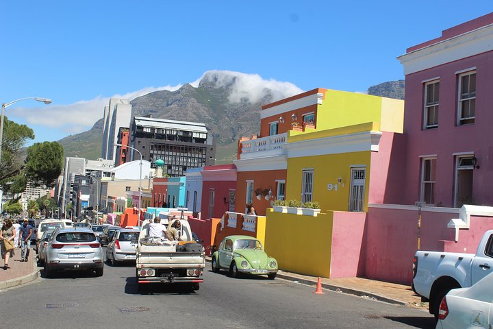 Private Day Tour to Cape of Good Hope Penguins Inc Entry Tickets from Cape Town - Image 4