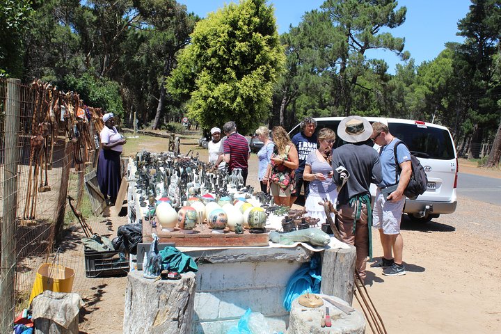 Private Day Tour to Cape of Good Hope Penguins Inc Entry Tickets from Cape Town - Image 2