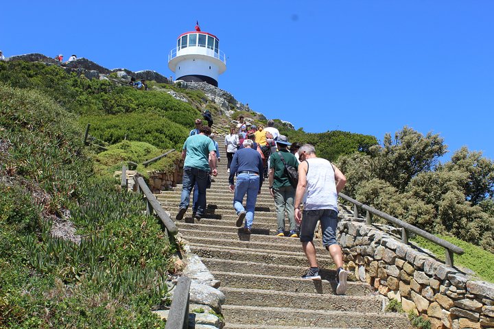 Private Day Tour to Cape of Good Hope Penguins Inc Entry Tickets from Cape Town - Image 1