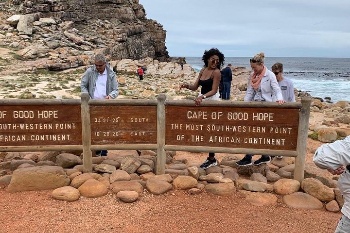 Private Full Day Tour To Cape Point, Penguins With Table Mountain. - Image 5