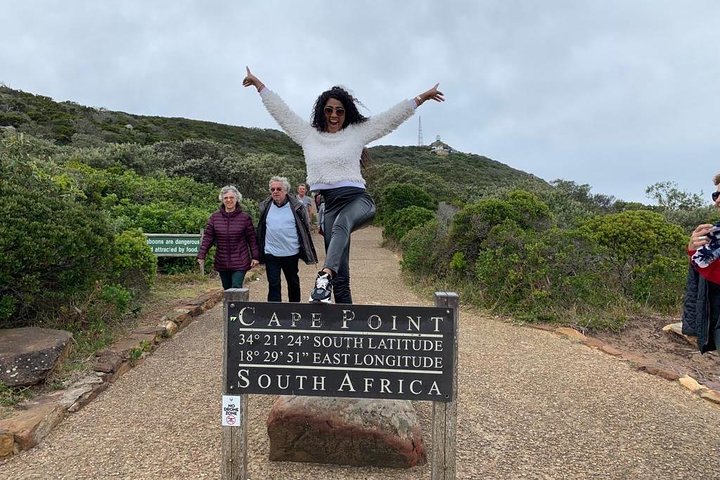 Private Full Day Tour To Cape Point, Penguins With Table Mountain. - Image 4