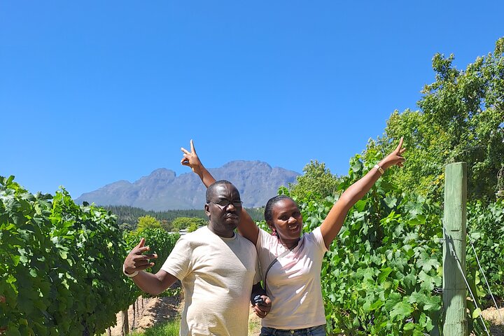 Private Full Day Wine Tasting in Stellenbosch and Franschoekk - Image 5