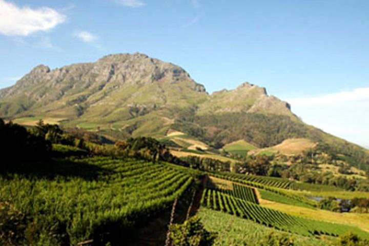 Private Full-Day Winelands Tour from Cape Town - Image 4