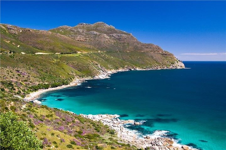 Private Garden Route Tour from Cape Town with Game Drive - Image 5