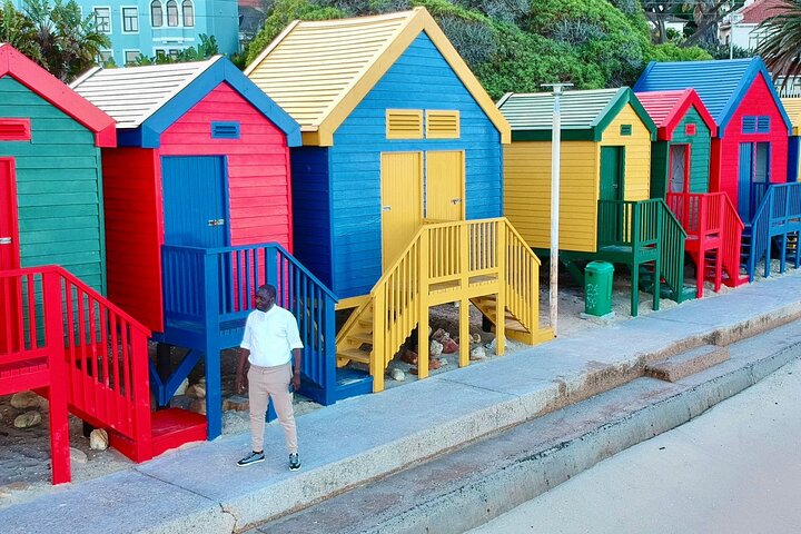 Private Group Tour to Boulders Beach & Cape Point incl. Park Fees - Image 3