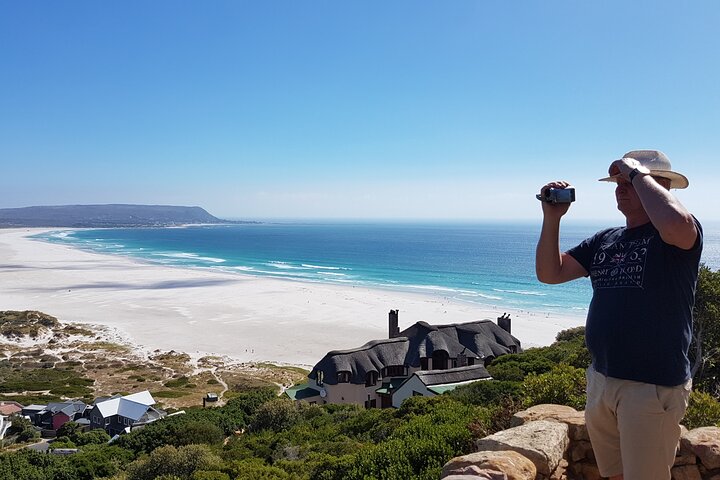 Private Guided Tour of the Cape Peninsula - Image 1