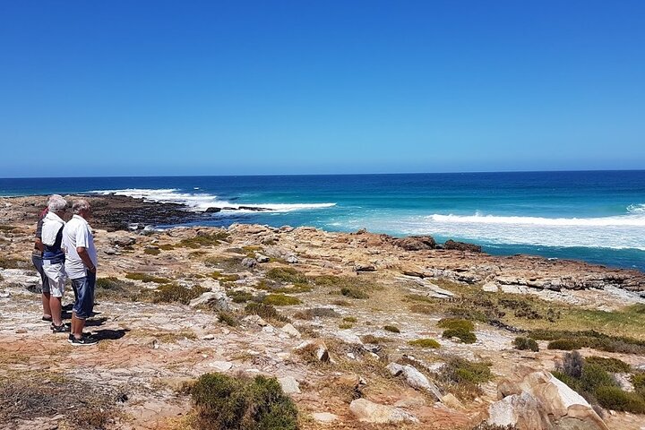 Private Guided Tour of the Cape Peninsula - Image 5