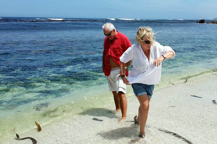 Private Guided Tour of the Cape Peninsula - Image 3