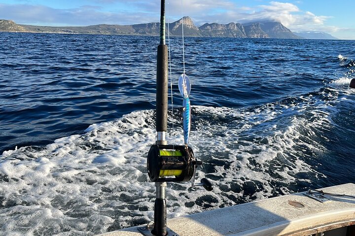 Private Half Day & Full Day Fishing Charters in Cape Town - Image 2