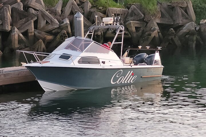 Private Half Day & Full Day Fishing Charters in Cape Town - Image 1