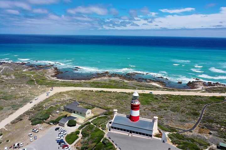 Private Hermanus & Cape Agulhas Full Day Tour - Image 3
